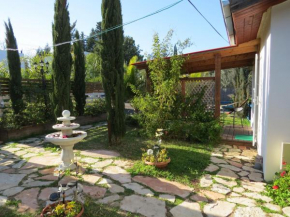 Гостиница BellaTroun Chalet  Kfar Bin Nun